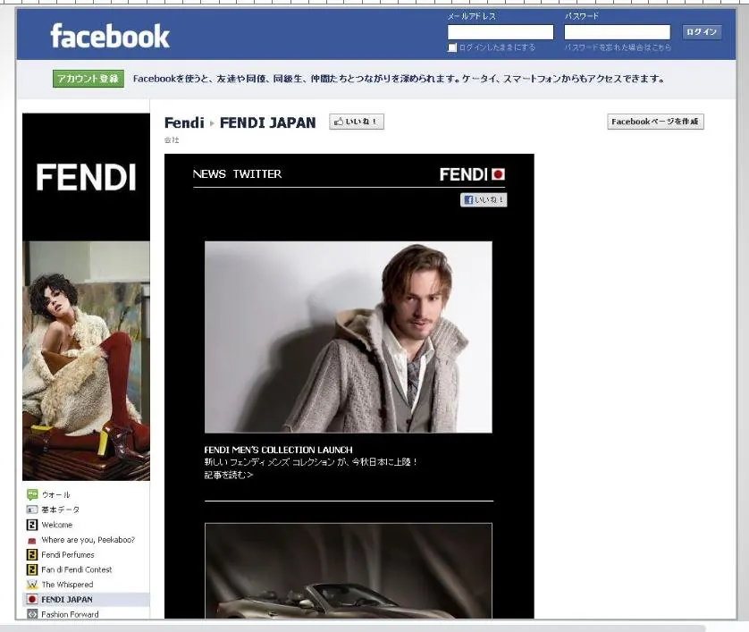 FENDI Japan — Facebook Campaigns